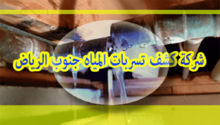 شركة كشف تسربات المياه