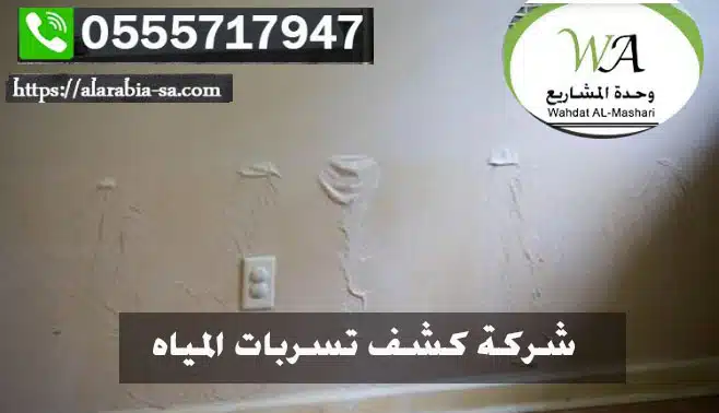 معالجة رطوبة الجدران وعلاج الرطوبة والعفن والملوحة بالجدران