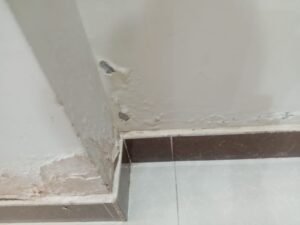 أسباب خروج الاملاح من الجدران