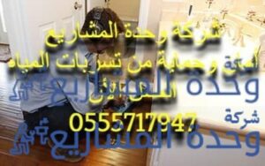 جهاز كشف تسربات المياه